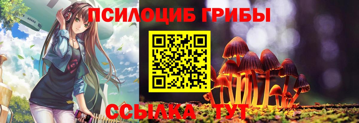 Галлюциногенные грибы мухоморы  Вход с VPN  Петрозаводск  Псилоцибиновые грибы ЛСД 